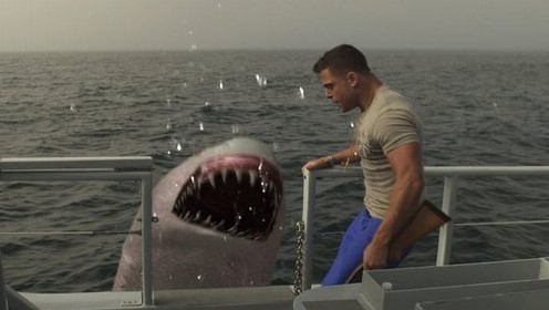 Jersey-Shore-Shark-Attack.jpg