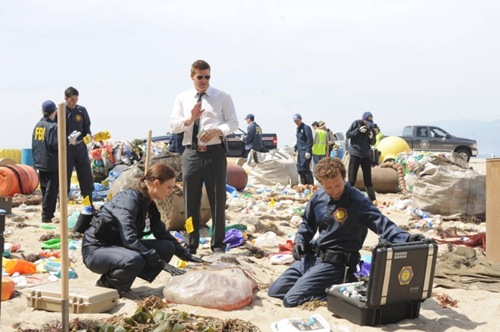 BONES:  Brennan (Emily Deschanel, L), Booth (David Boreanaz, C) and Hodgins (TJ Thyne, R) investigate remains found mysteriously sealed in an impenetrable pod in the "The Bod in the Pod" episode of BONES airing Monday, Nov. 19 (8:00-9:00 PM ET/PT) on FOX.  ©2012 Fox Broadcasting Co.  Cr:  Ray Mickshaw/FOX
