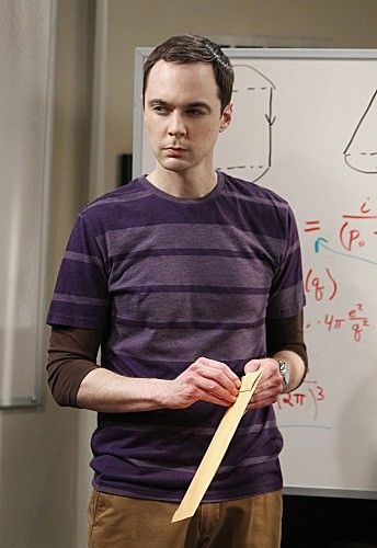 The-Big-Bang-Theory-The-CooperKripke-Inversion-Season-6-Episode-14-8