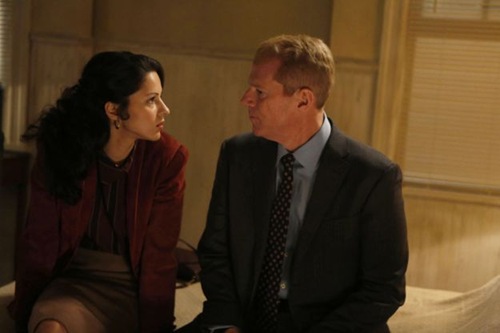 THE AMERICANS -- Mutually Assured Destruction -- Episode 8 (Airs Wednesday, March 20, 10:00 pm e/p) -- Pictured: (L-R) Annet Mahendru as Nina, Noah Emmerich as FBI Agent Stan Beeman -- CR: Craig Blankenhorn/FX