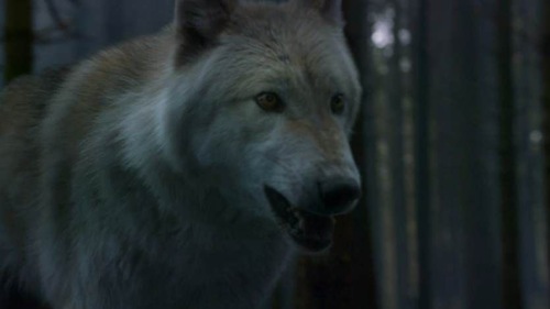 game-of-thrones-3x02-08
