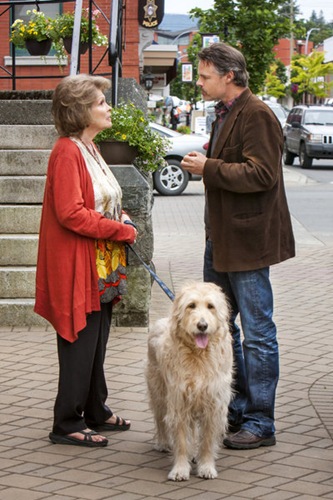 Charlotte Jeffers (Paula Shaw, left) is known as Cedar Cove?s resident busybody, eager to spread the gossip around her seaside town?even when the new editor of the Cedar Cove Chronicle, Jack Griffith (Dylan Neal, right), asks about her daughter, the town?s resident municipal court Judge. 