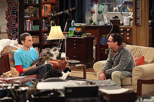 big-bang-theory-s4e3-zazzy-substitution-05