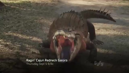 Ragin Cajun Redneck Gators-01