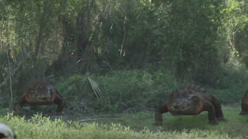 Ragin Cajun Redneck Gators-02