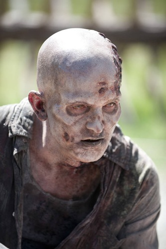 the-walking-dead-Infected-15