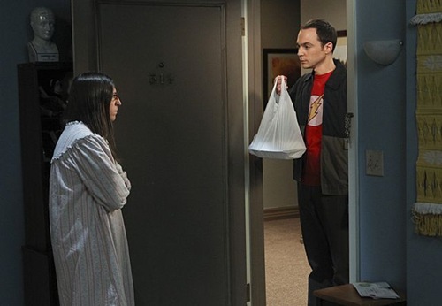 the-big-bang-theory-The Workplace Proximity-02