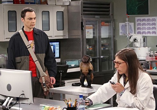 the-big-bang-theory-The Workplace Proximity-08
