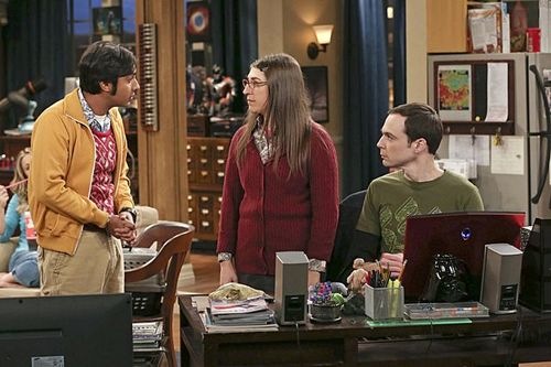 The-Big-Bang-Theory-The Discovery Dissipation-12
