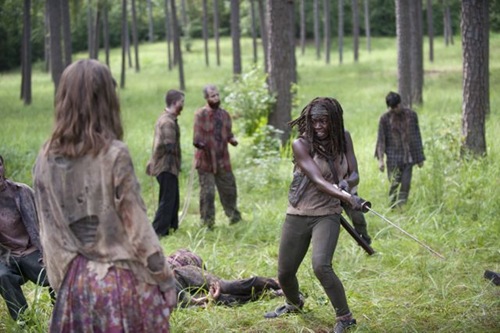 Walkers and Michonne (Danai Gurira) - The Walking Dead _ Season 4, Episode 9 - Photo Credit: Gene Page/AMC