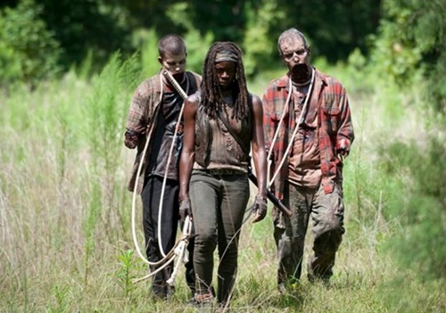 the-walking-dead-after-02