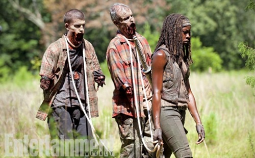the-walking-dead-after-12