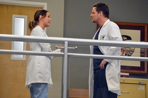 greys-anatomy-Youve Got To Hide Your Love Away-11
